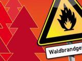 Waldbrad1